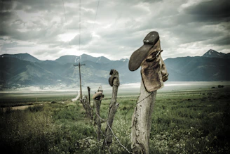 An artistic shot of a straw hat perched on a rustic fence post with golden fields stretching beyond.