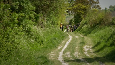 A group of tourists walking along a lush rural path surrounded by greenery.