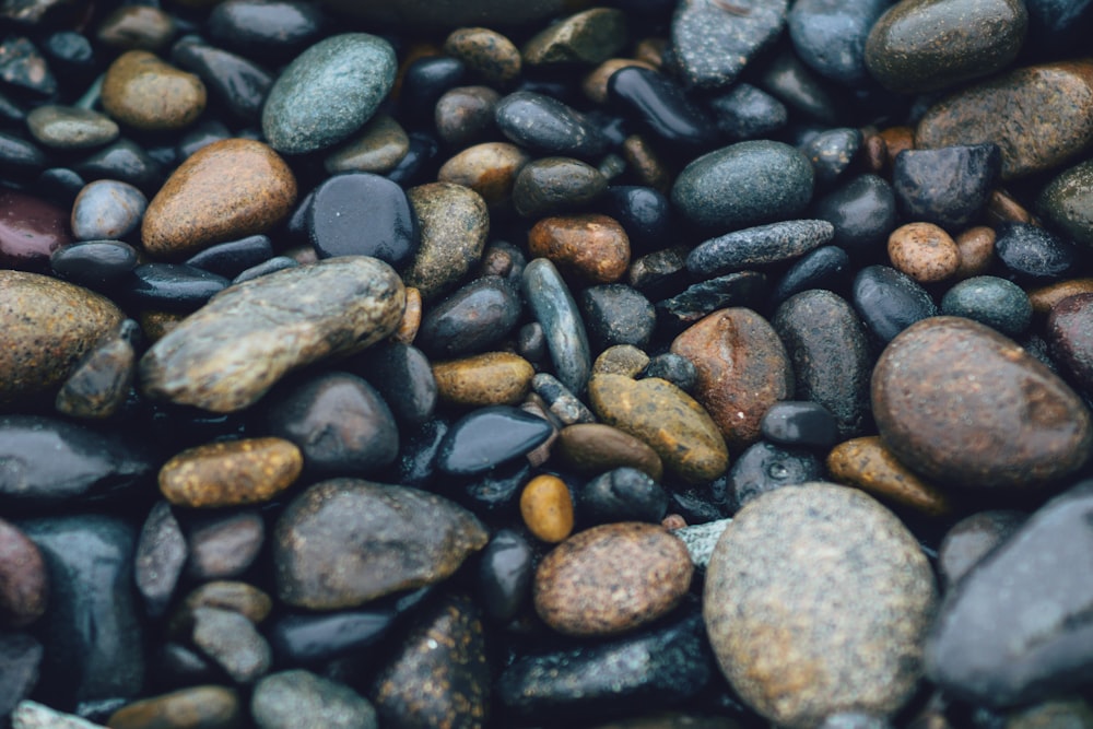 brown and black stones