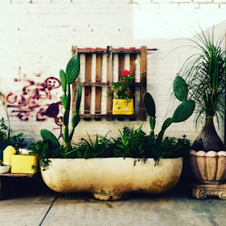 A rustic setting with various planters featuring cacti and other plants in an outdoor space. A large, aged stone planter holds several cacti alongside other green foliage. Against a white brick wall, a wooden pallet is decorated with a vibrant yellow planter containing red flowers. Additional yellow planters are placed nearby, adding to the earthy and artistic ambiance.