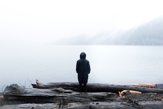 man standing beside tree logs facing body of water