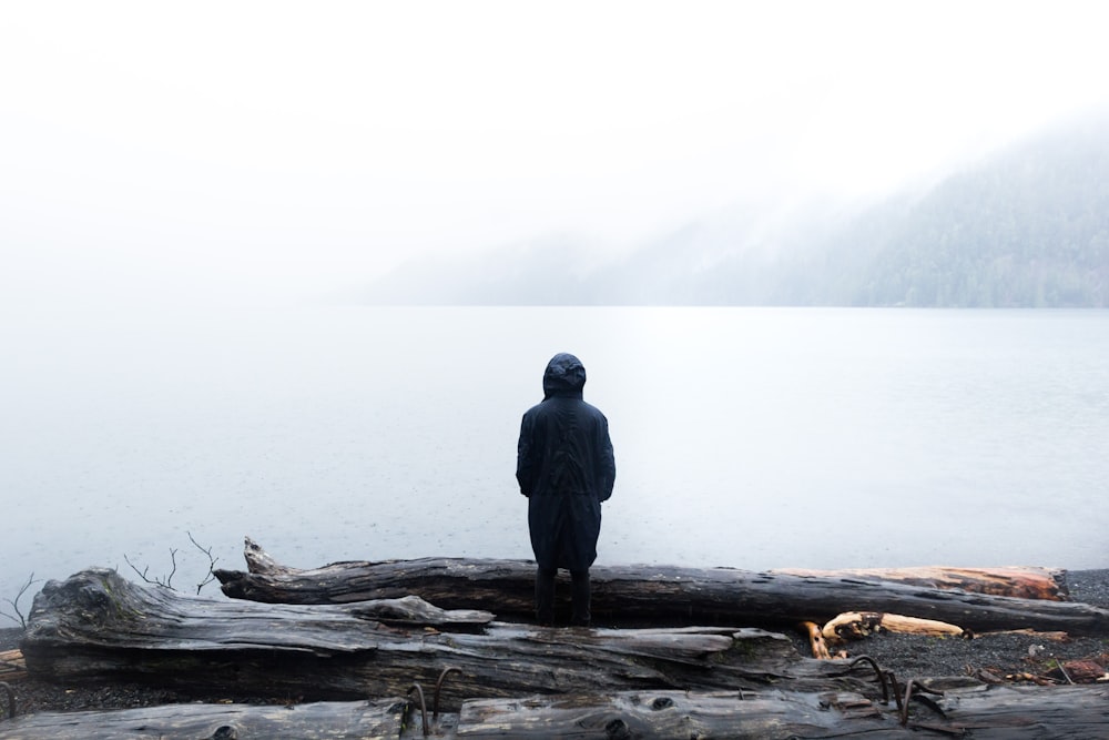 man standing beside tree logs facing body of water