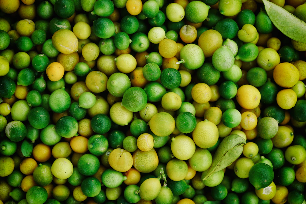 Young sandalwood and companion crops