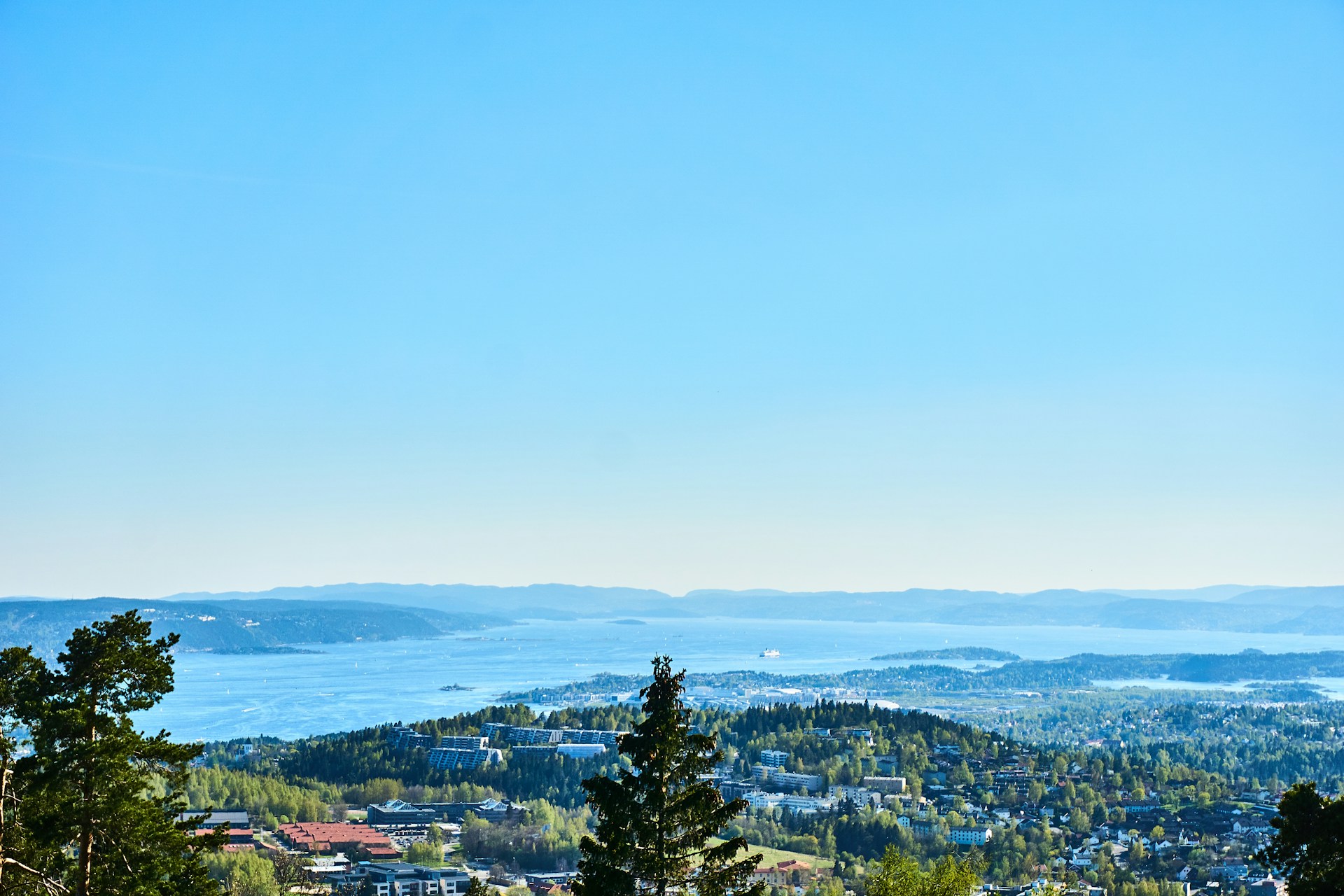 black and white bed linen