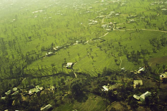 A vibrant aerial view of green plots of land with clear boundaries in a Senegalese rural setting.