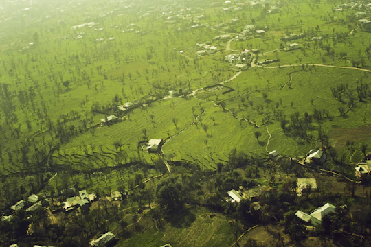 A vibrant aerial view of green plots of land with clear boundaries in a Senegalese rural setting.
