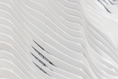 white concrete building wall