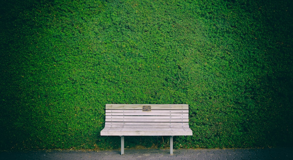 緑の壁のそばの空っぽの白い木製のベンチ