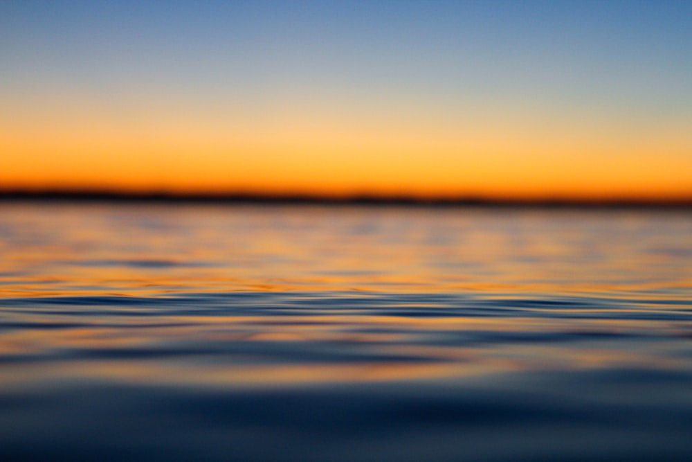 macro shot photo of body of water