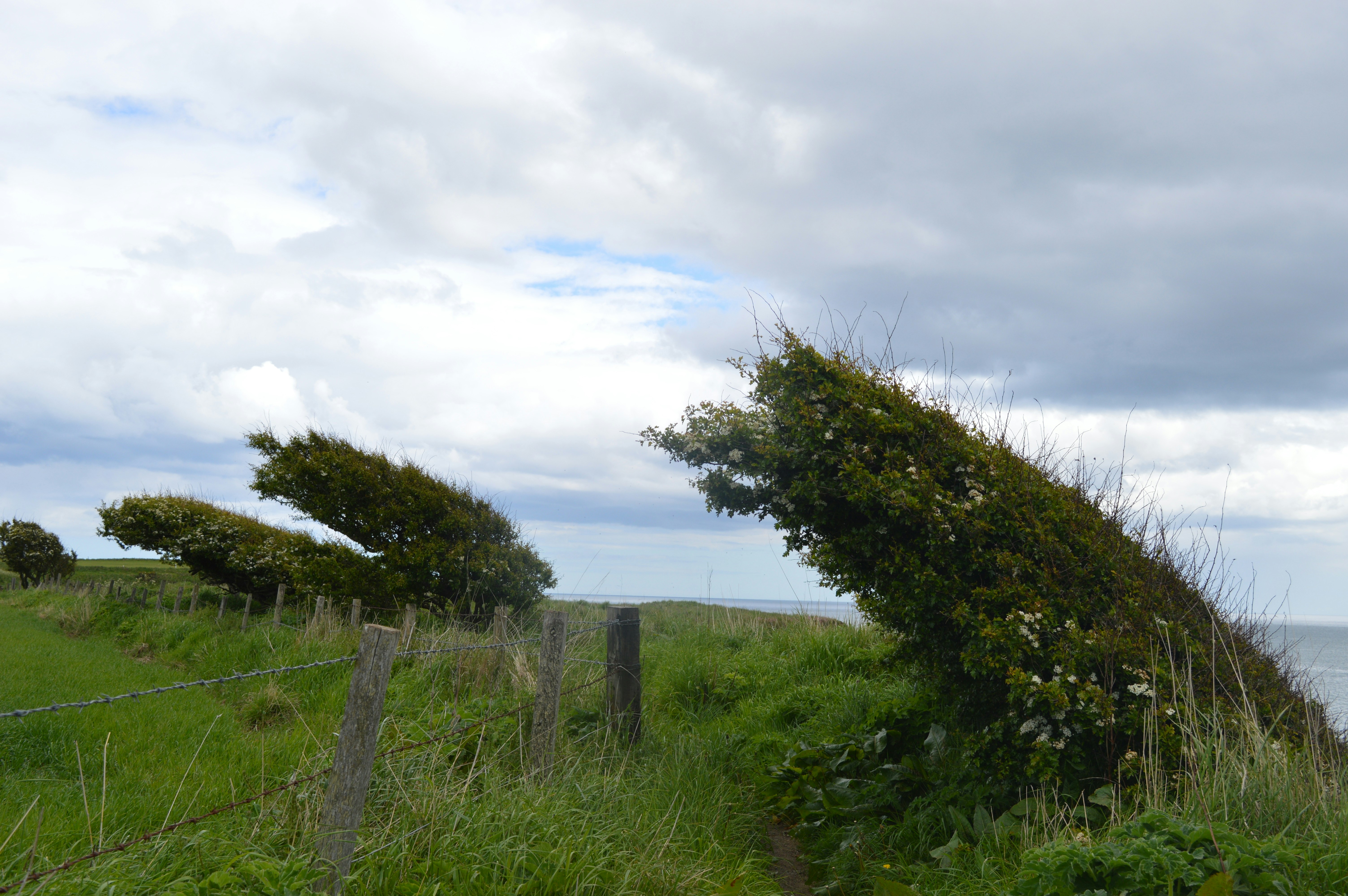 Free Unsplash photo from Lionel Fernandes