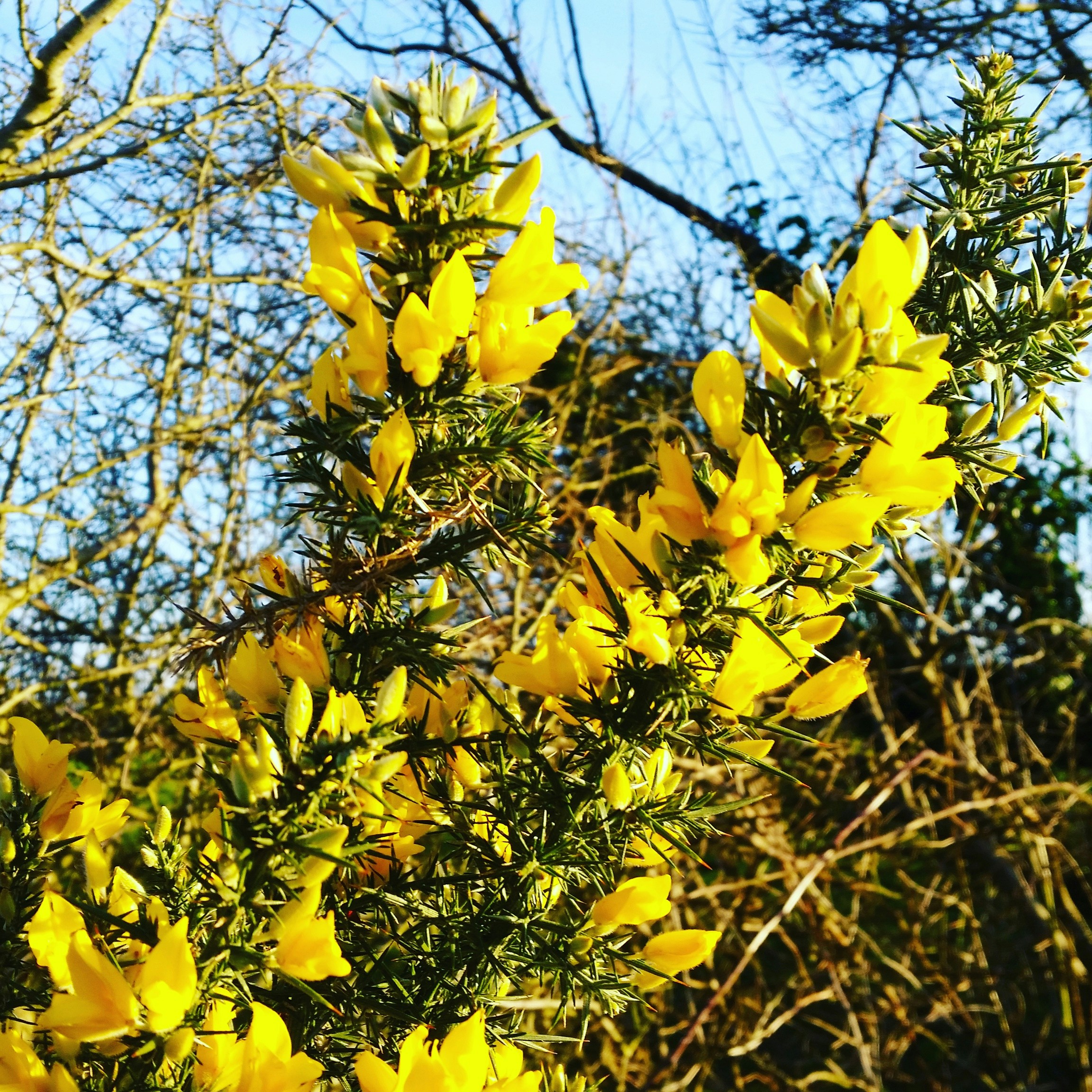 Free Unsplash photo from Sean Kiernan