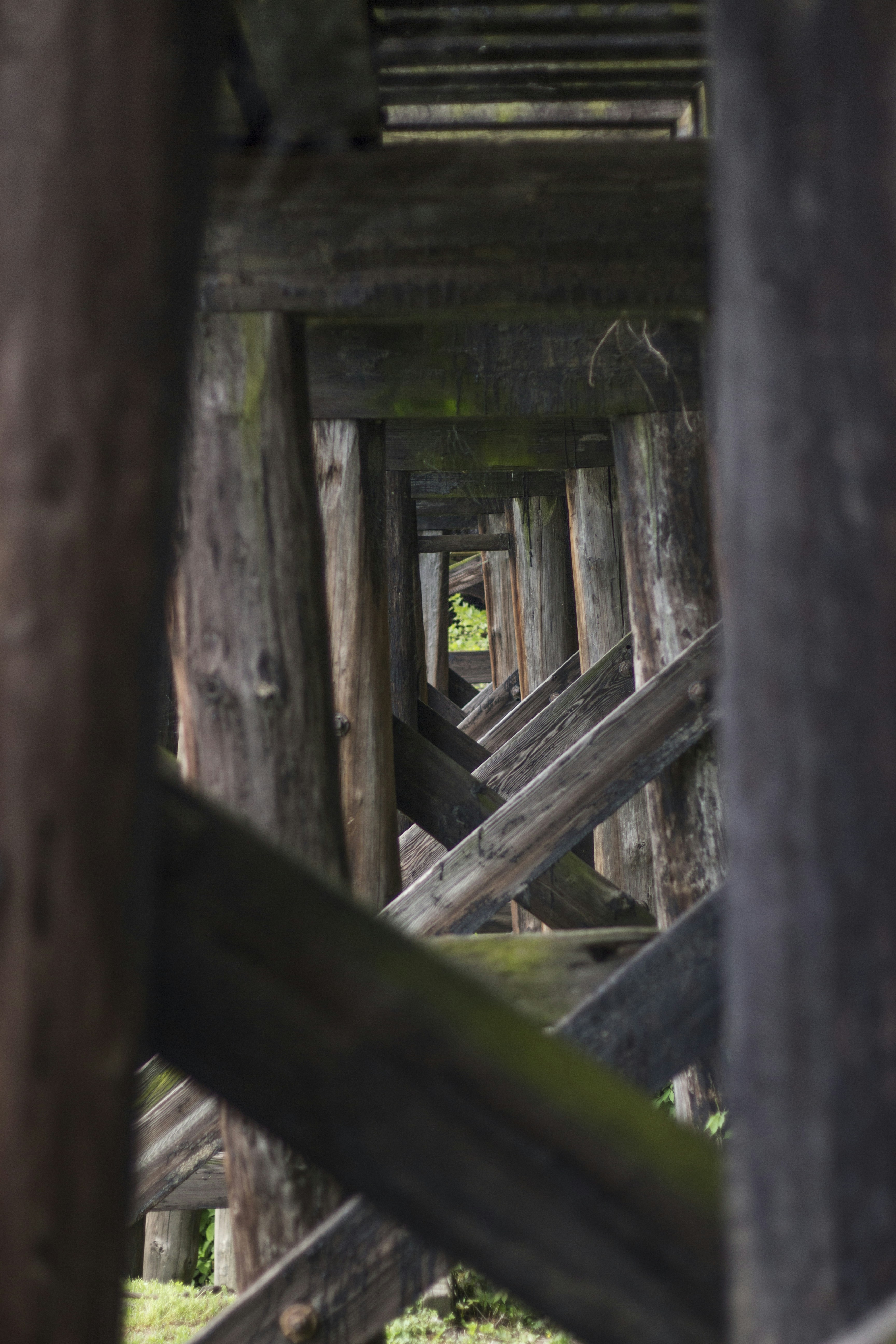 Free Unsplash photo from Alex Jones