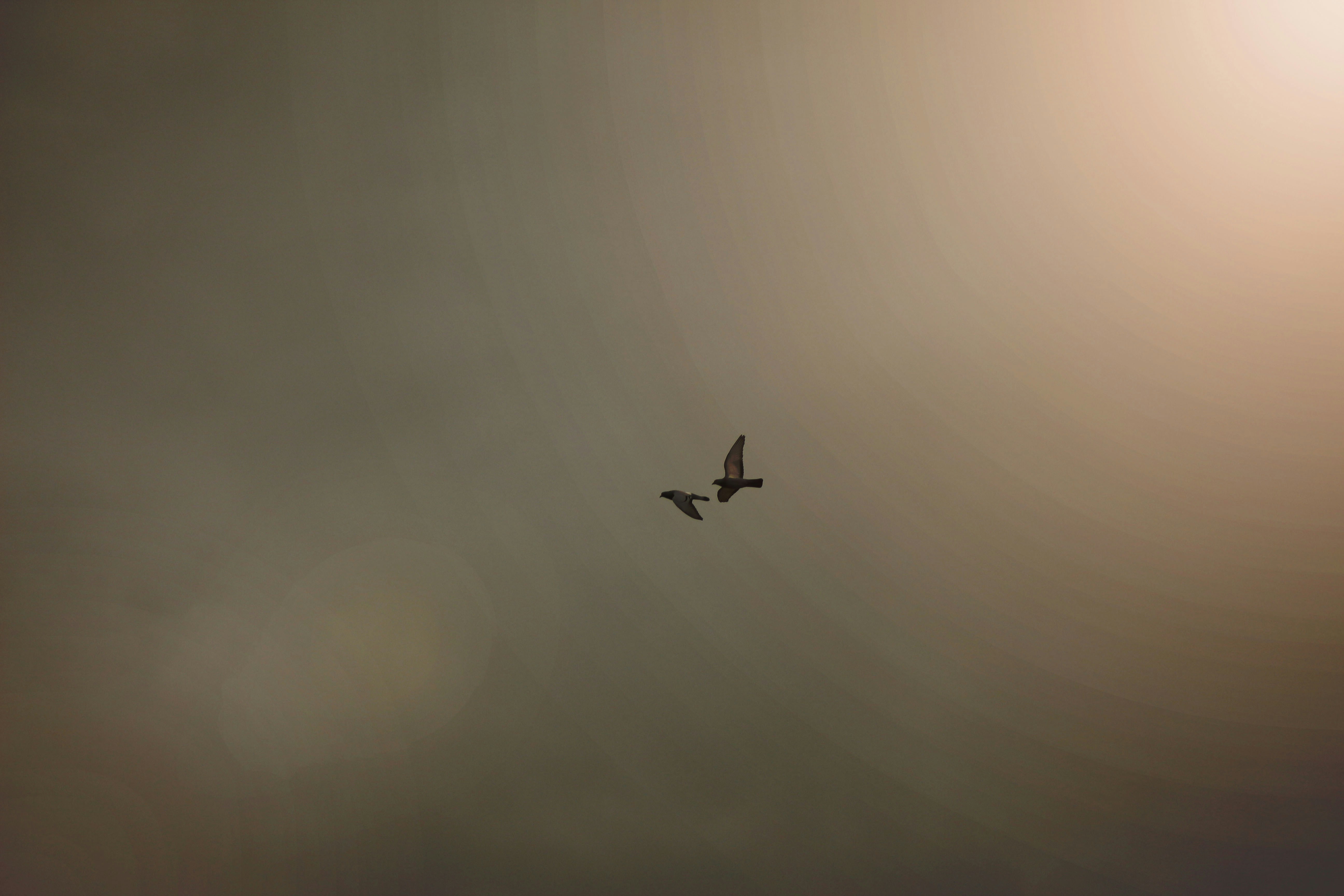 Free Unsplash photo from Cengizhan Konuş