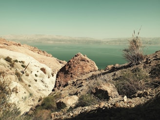 A panoramic view of multiple sovereignrock habitat units arranged strategically along a rugged shoreline.