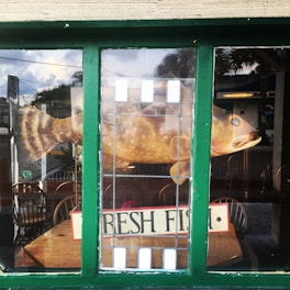 A large fish is displayed in the window of a restaurant, surrounded by green window frames. The words 'Fresh Fish' are visible on a sign inside. Wooden furniture and reflection of outdoor scenery, including trees and the sky, are seen through the glass.
