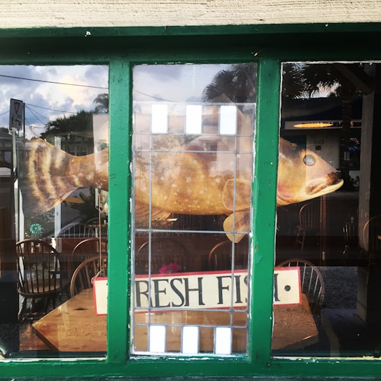 A cozy seafood restaurant interior with fresh fish dishes displayed.