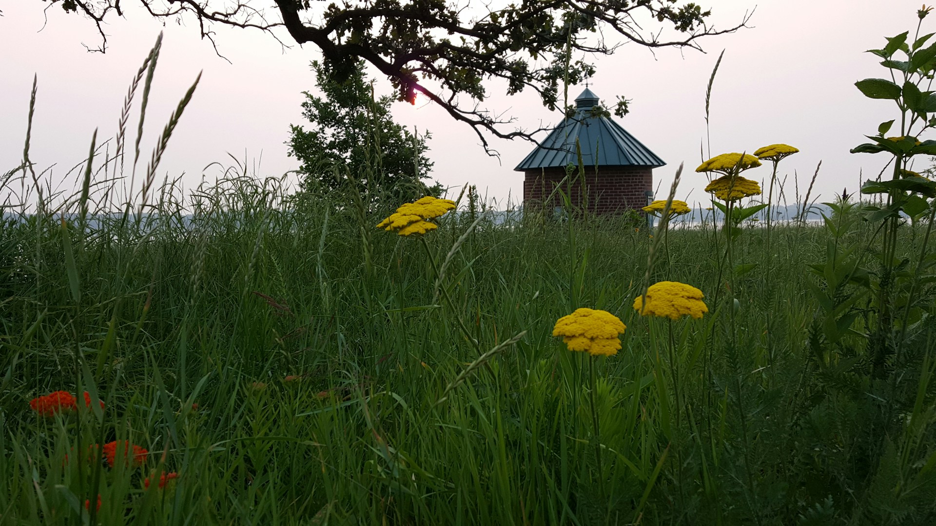 The vibrant Ndebele meeting hut, adorned with colorful traditional patterns and decorations, bathed in the warm afternoon sun.