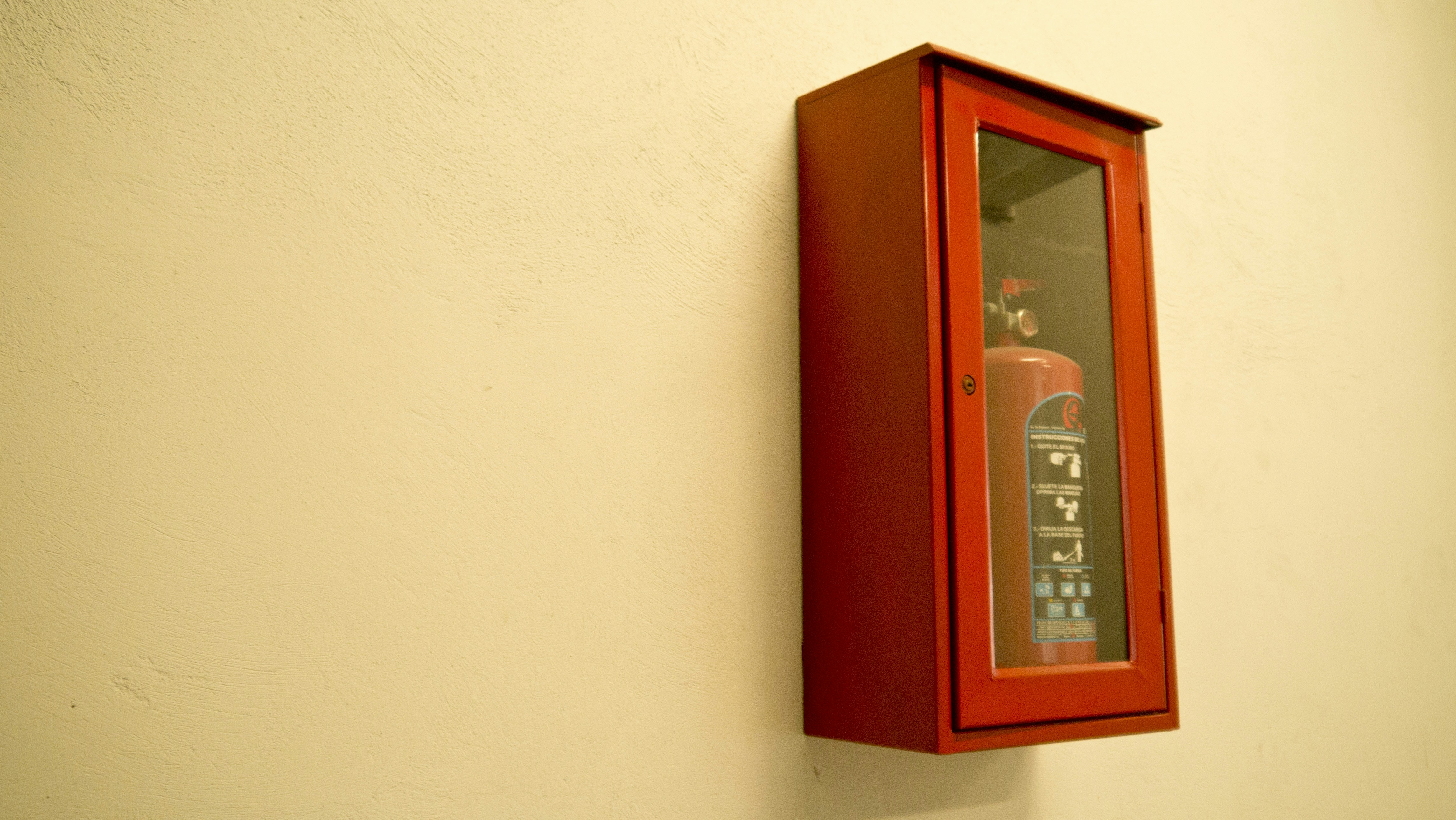 Free Unsplash photo from Celso A. Torres Pirron