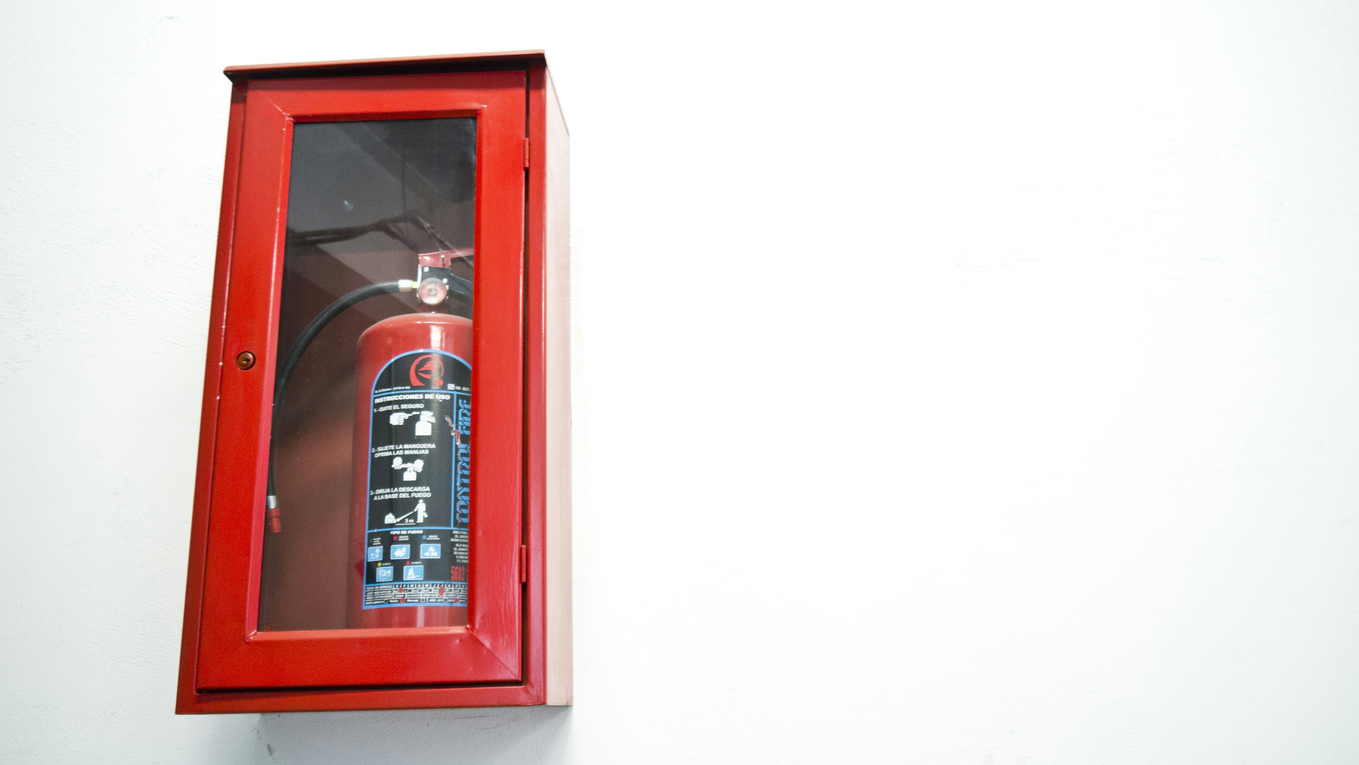 Free Unsplash photo from Celso A. Torres Pirron