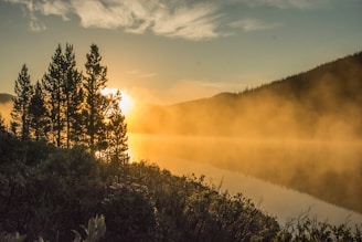 Golden sunrise casting warm light over a quiet mountain lake surrounded by pine trees.