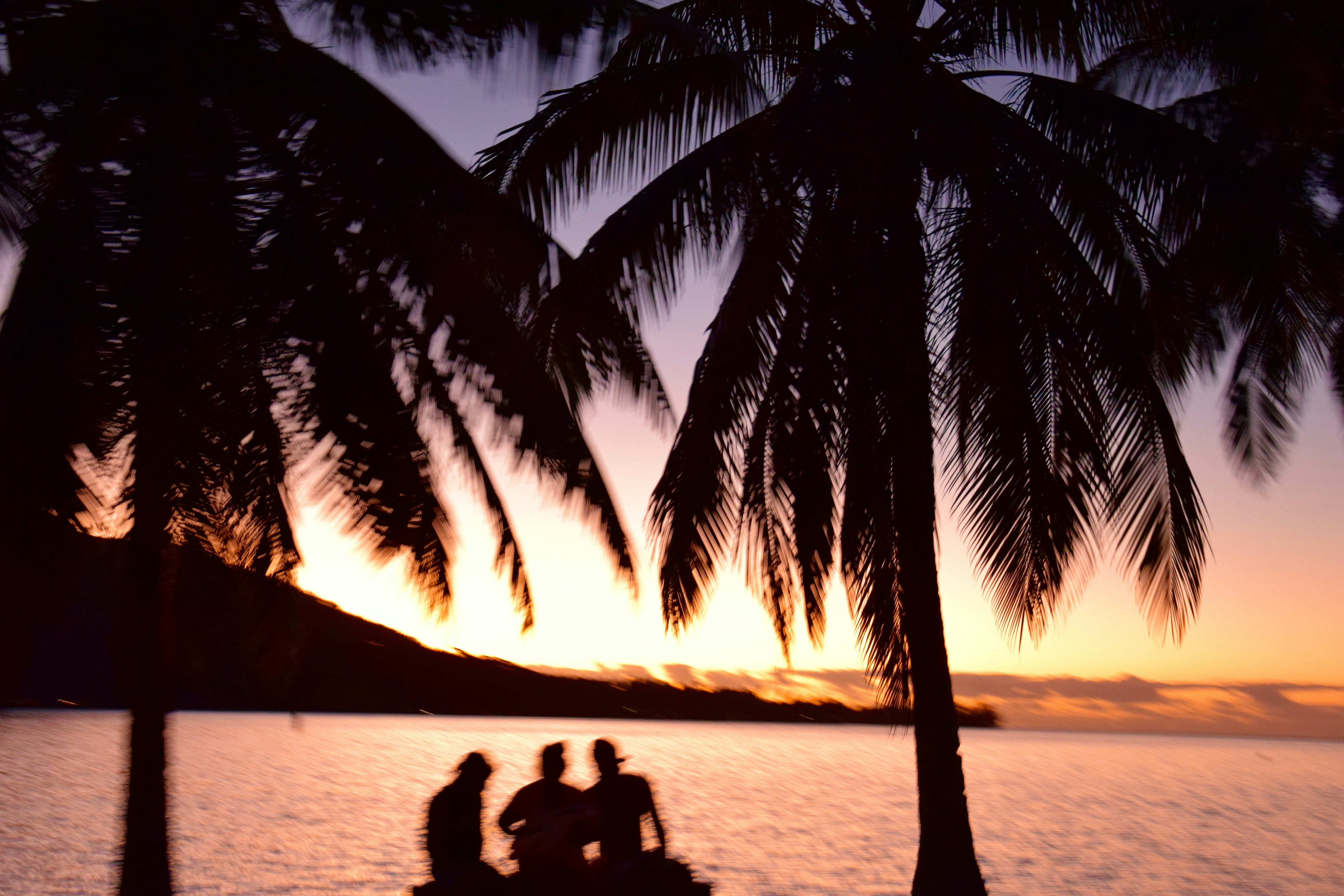 Free Unsplash photo from Poe Iti