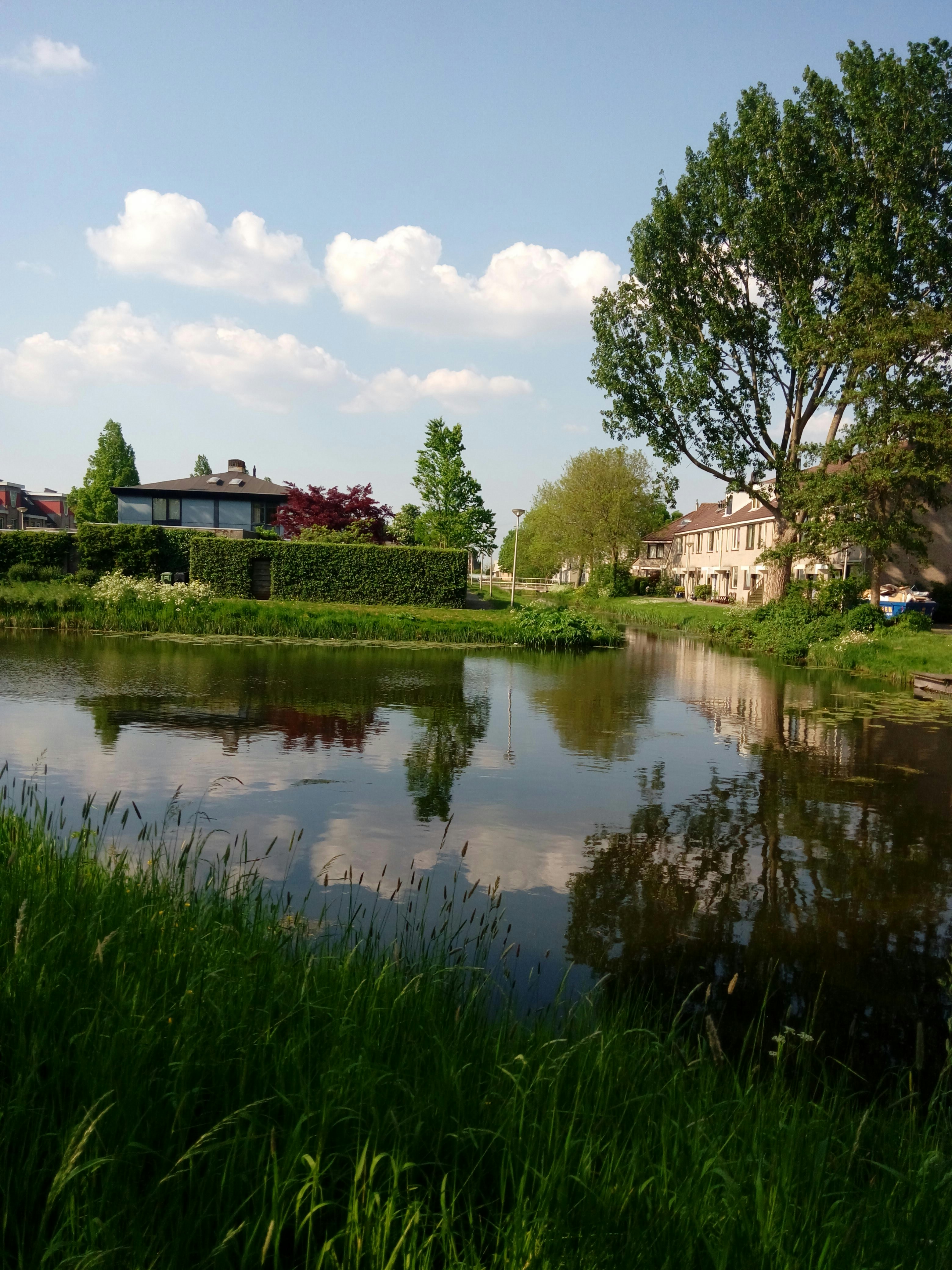 Free Unsplash photo from Farid Abu Amro