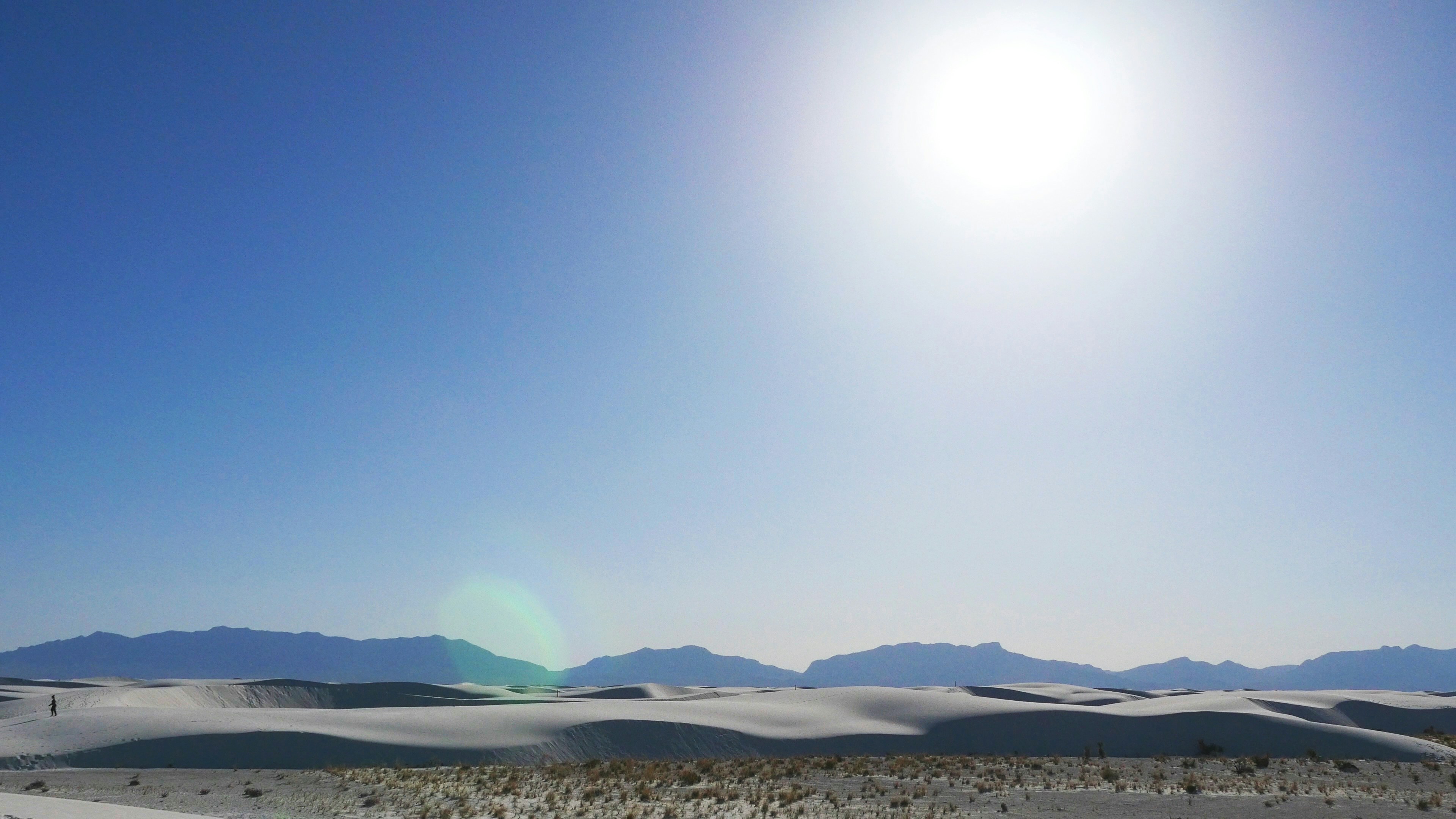 Free Unsplash photo from Erin Ruiz