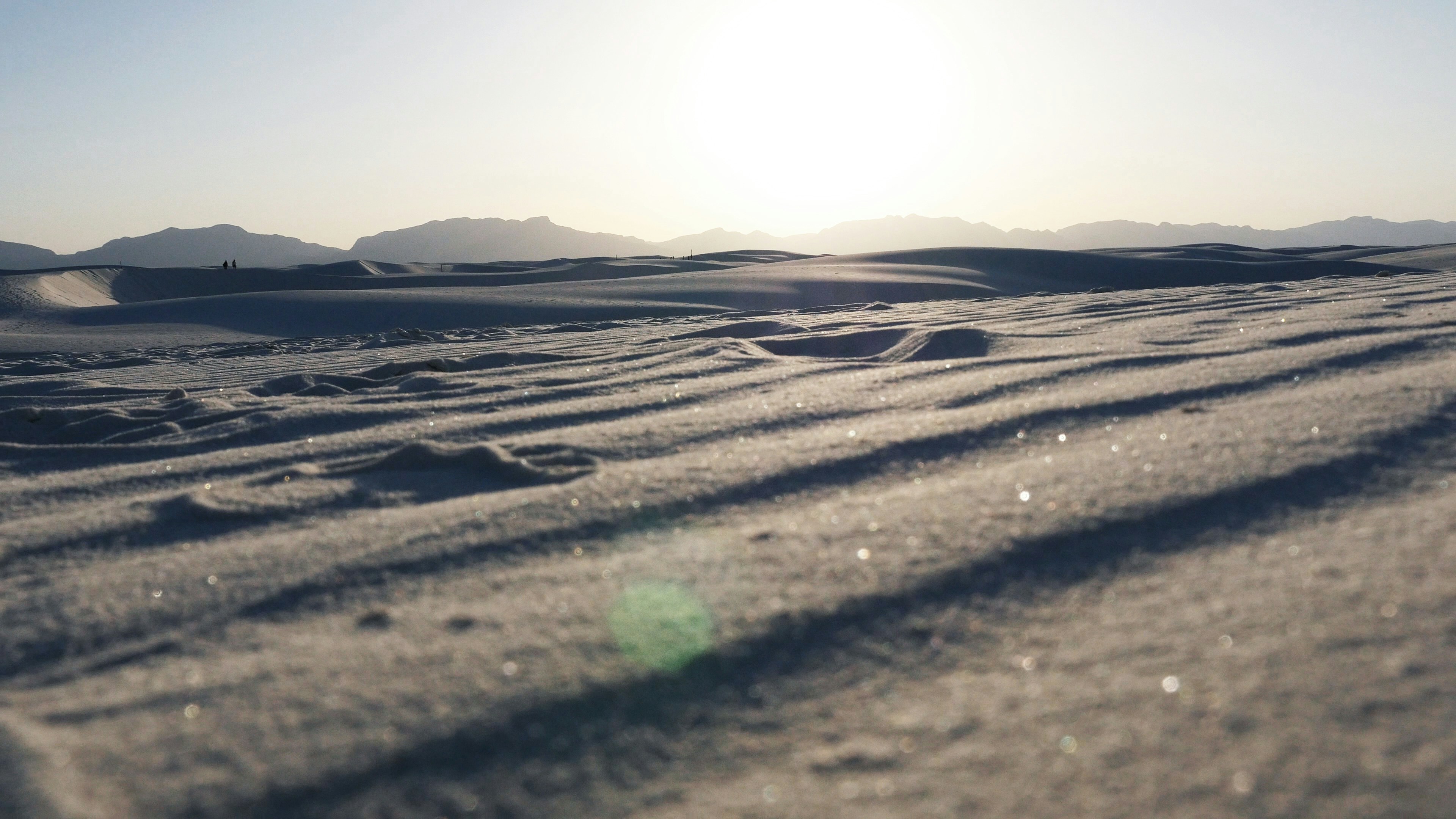 Free Unsplash photo from Erin Ruiz