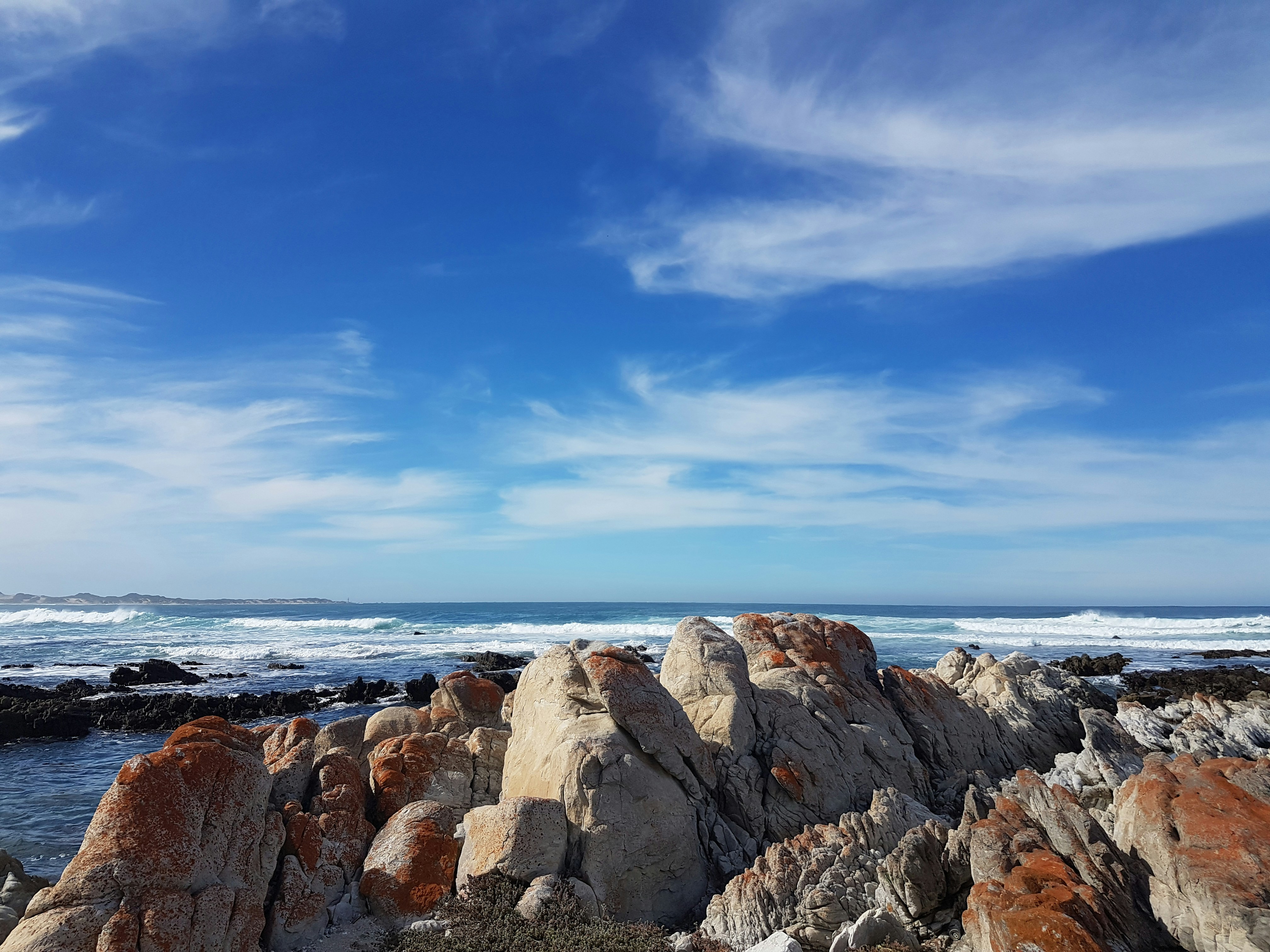 Free Unsplash photo from Hilton Musk