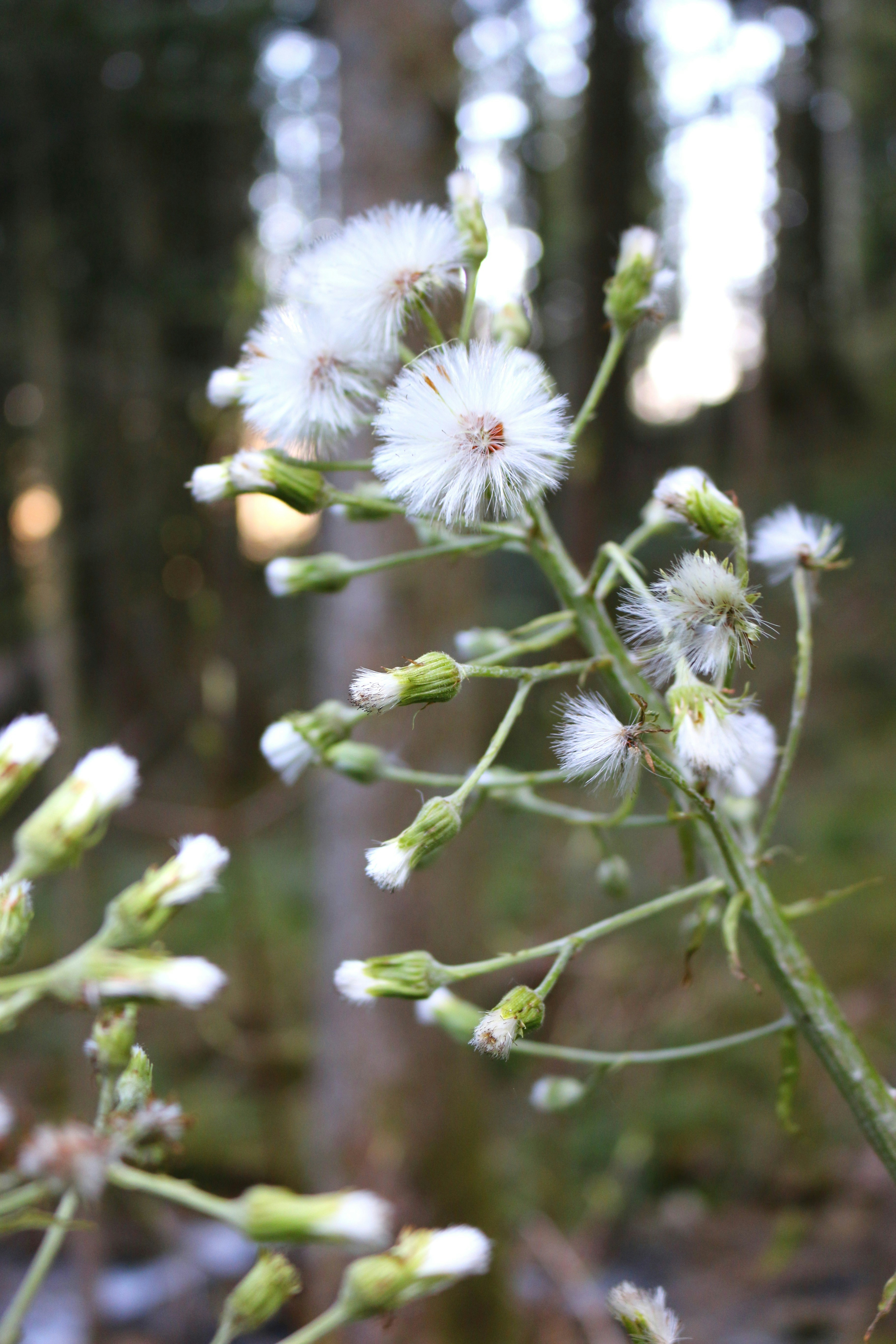 Free Unsplash photo from Judith Paul