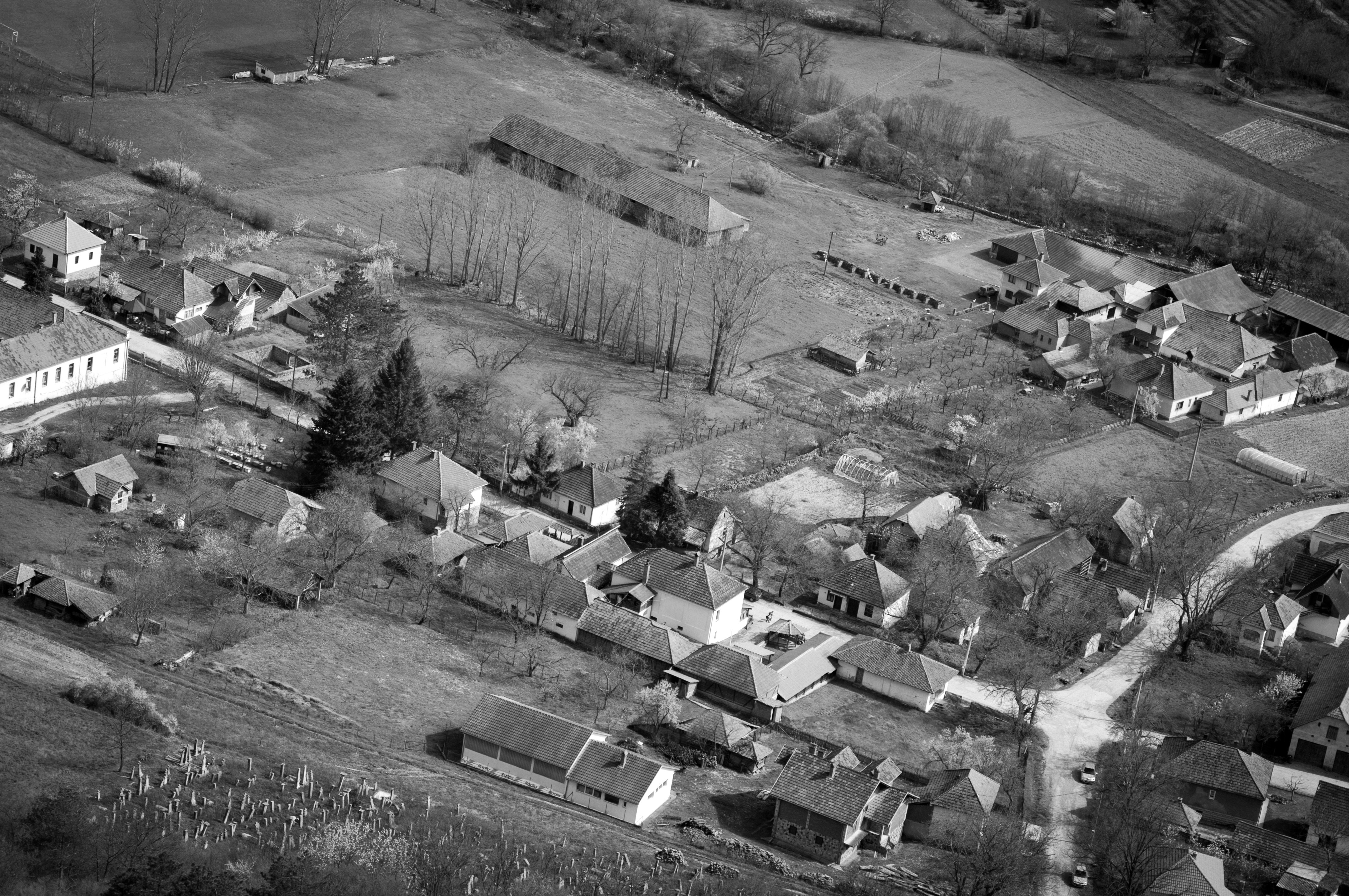 Free Unsplash photo from Luka Ostojic