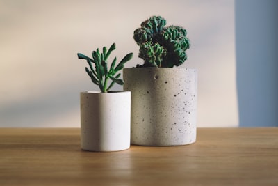 shallow focus photography of potted plants pots zoom background