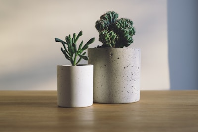 桌上植栽小盆栽