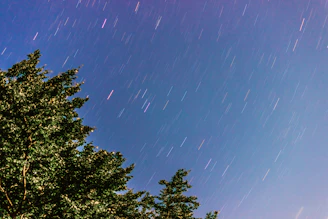 A time-lapse capture showing star trails circling around the North Star above a forest.