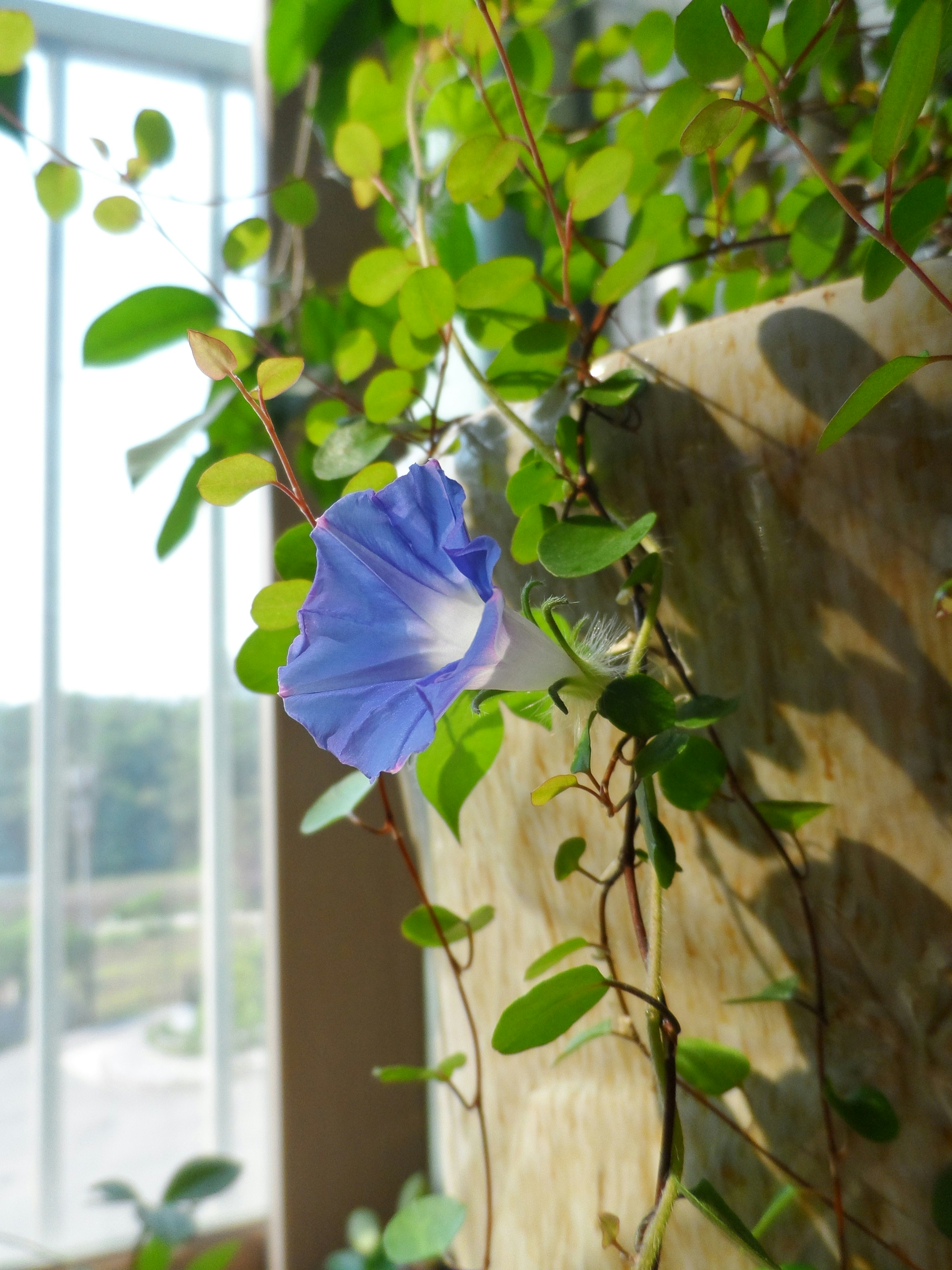 Free Unsplash photo from Jinho Lee