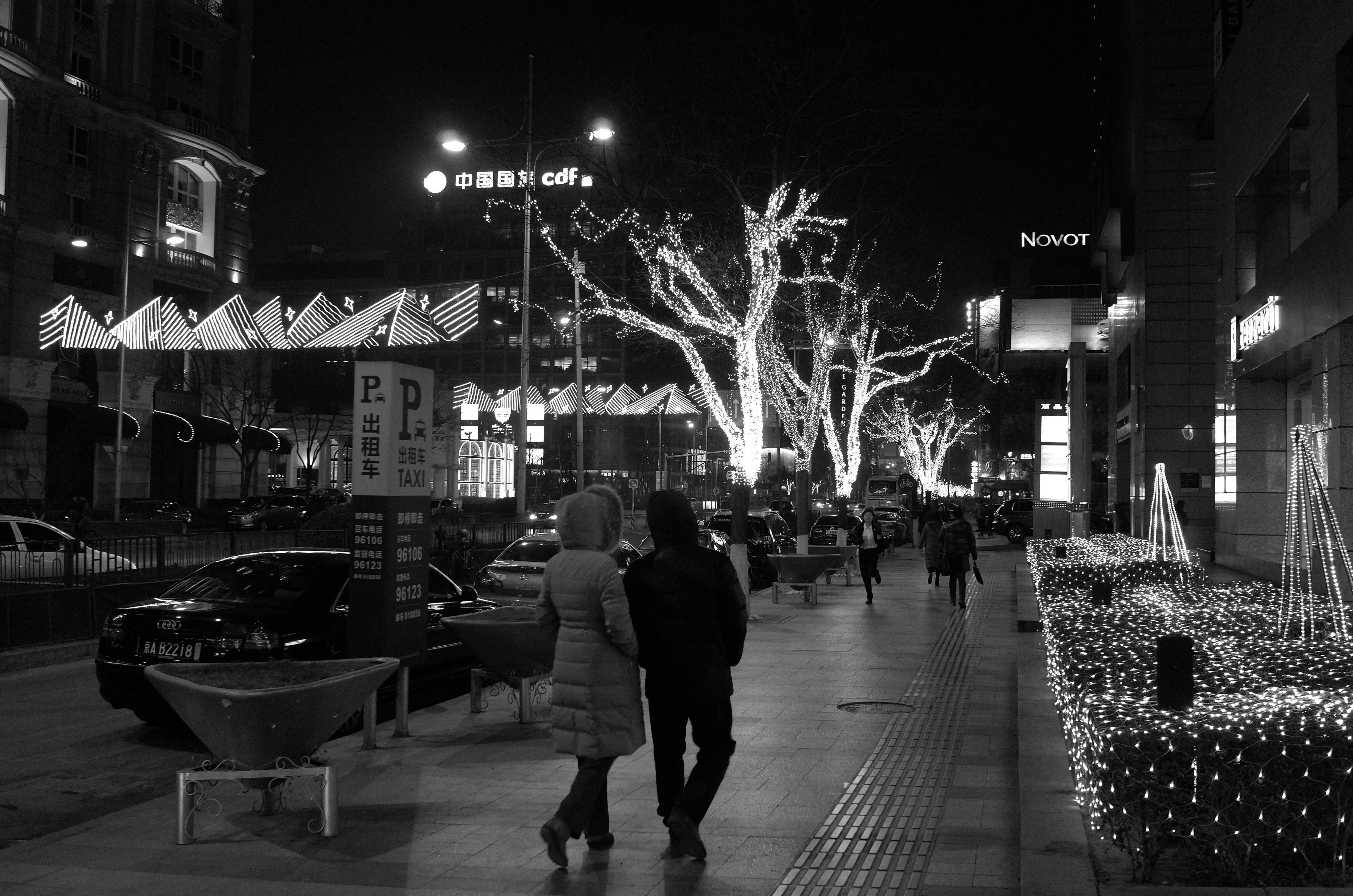 Free Unsplash photo from Lu Xiao