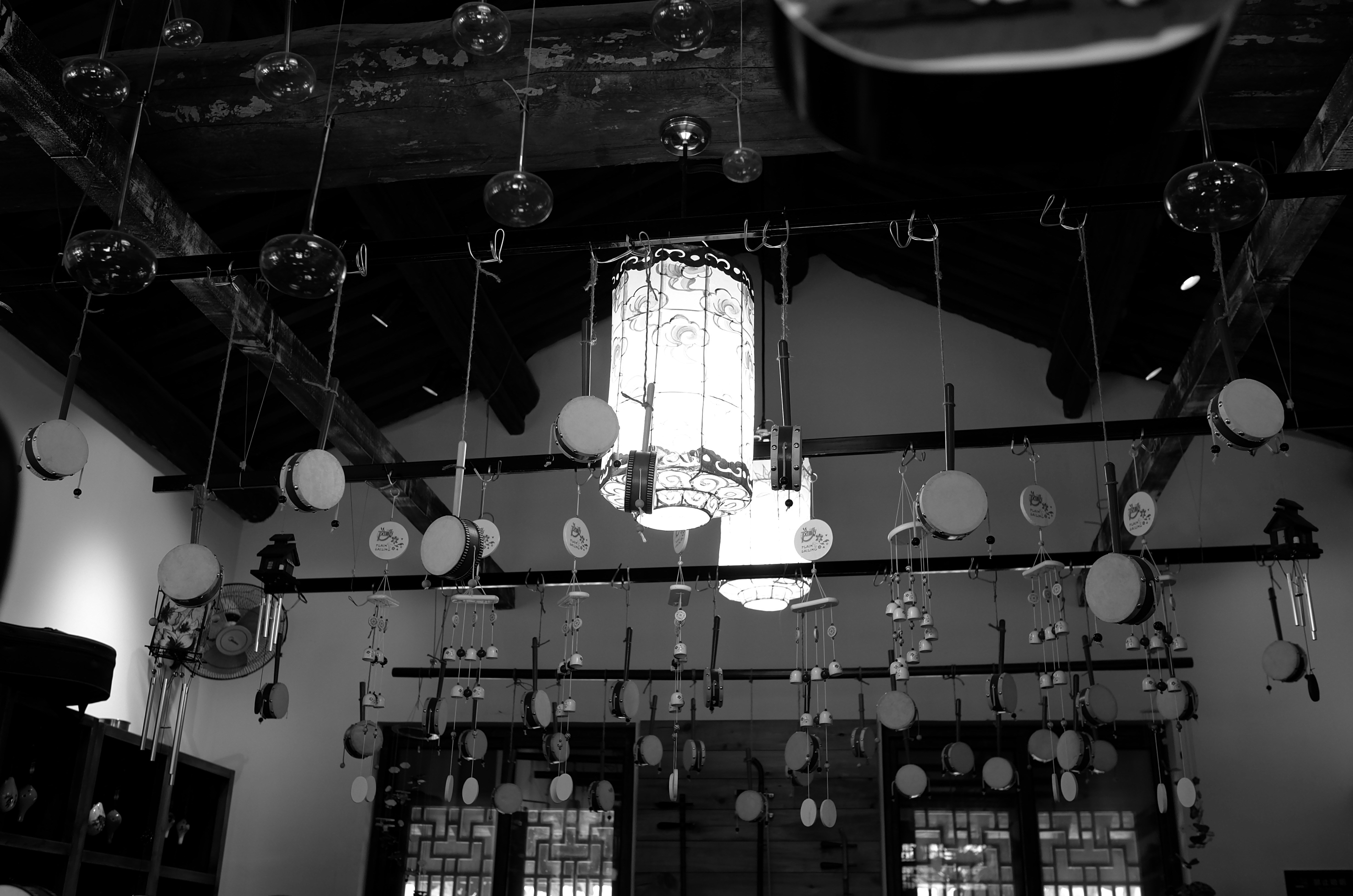 Free Unsplash photo from Lu Xiao