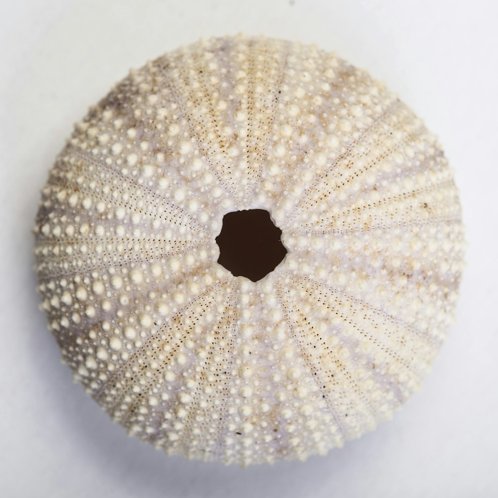 white and brown round textile
