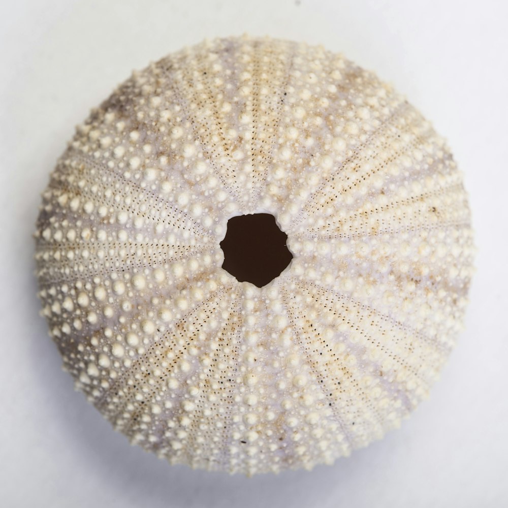 textile rond blanc et marron