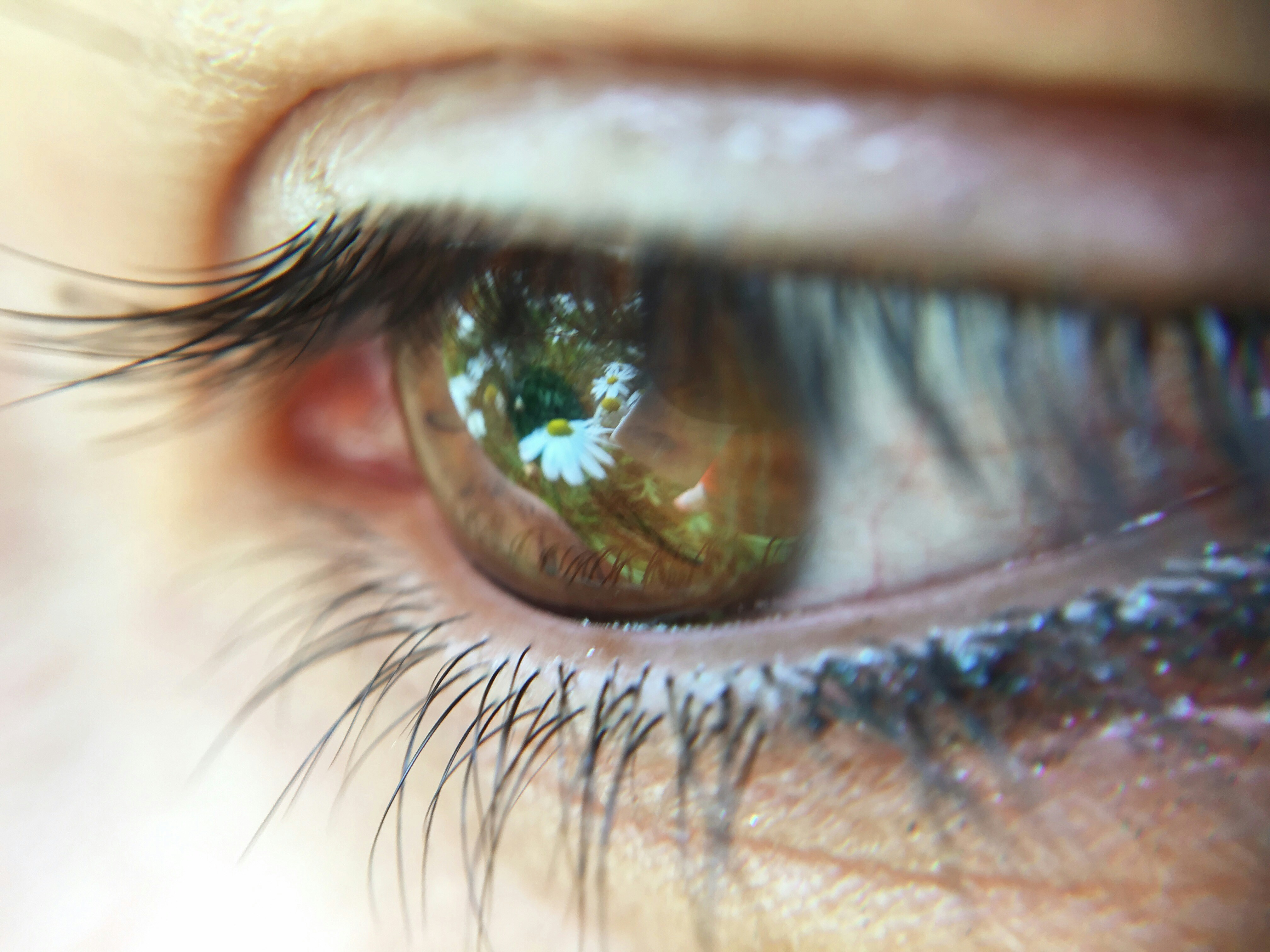 Free Unsplash photo from Xus Badia