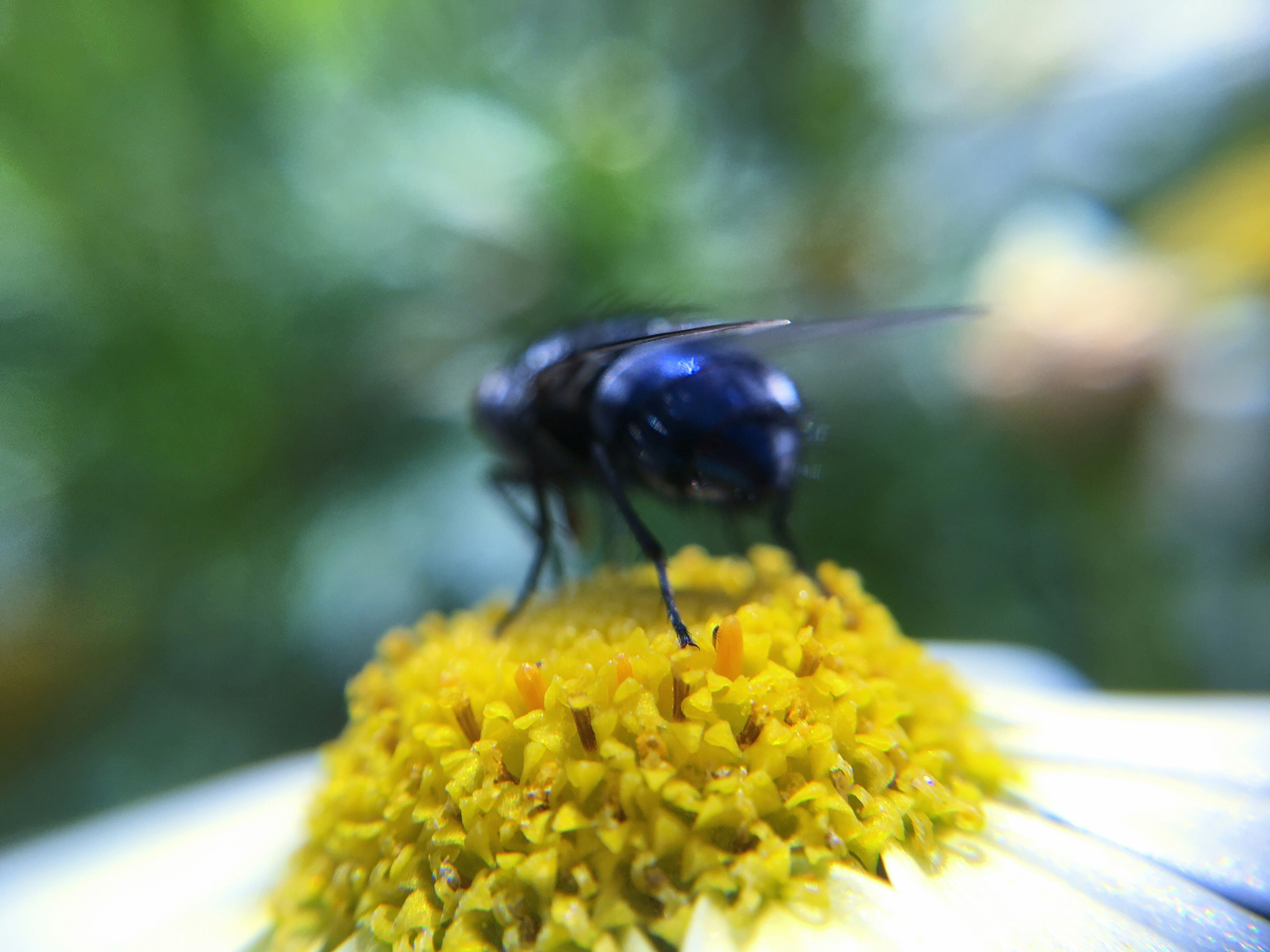 Free Unsplash photo from Xus Badia