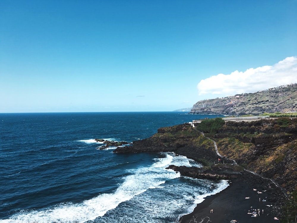 aerial shot of shore