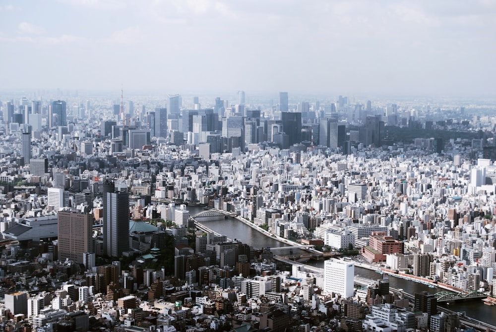 aerial photography of city buildings under white sky