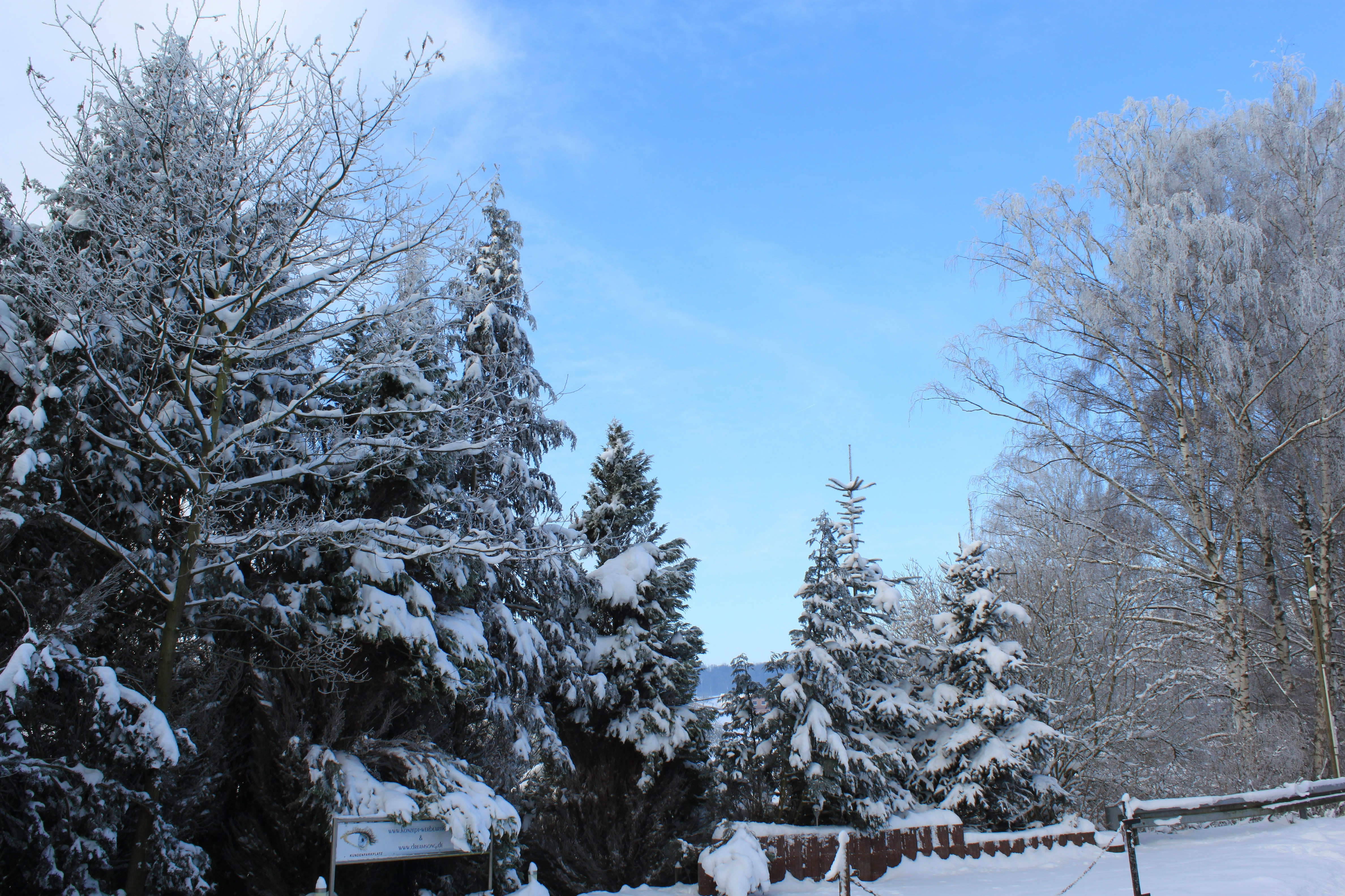 Free Unsplash photo from Klaus-Dieter Bergmann