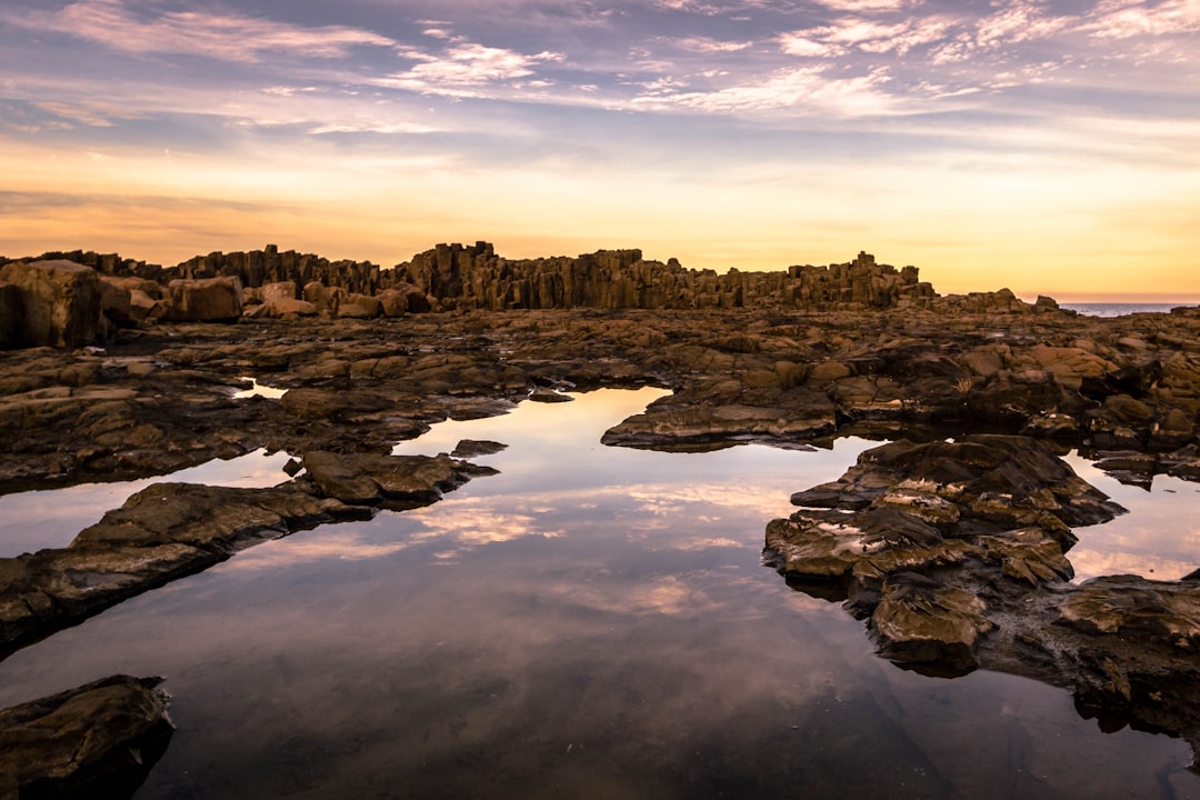 Coast photo spot Bombo quarry Waverley Cemetery