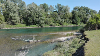 A serene view of the restored riverbank with lush greenery and clear flowing water.