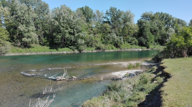 A serene view of the Swat River flowing gently past lush green banks under a clear blue sky.