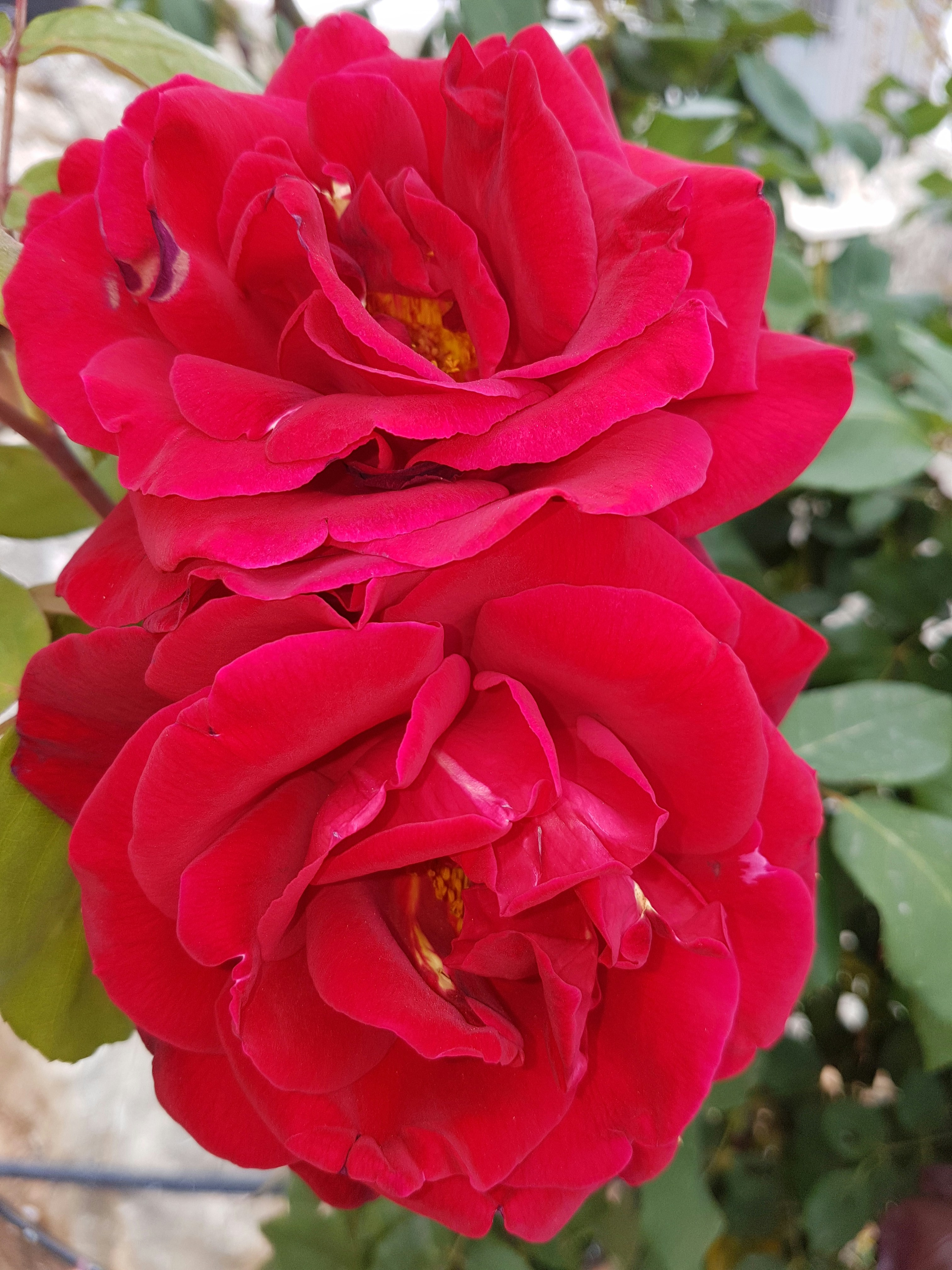 Free Unsplash photo from Lefteris Gavalas