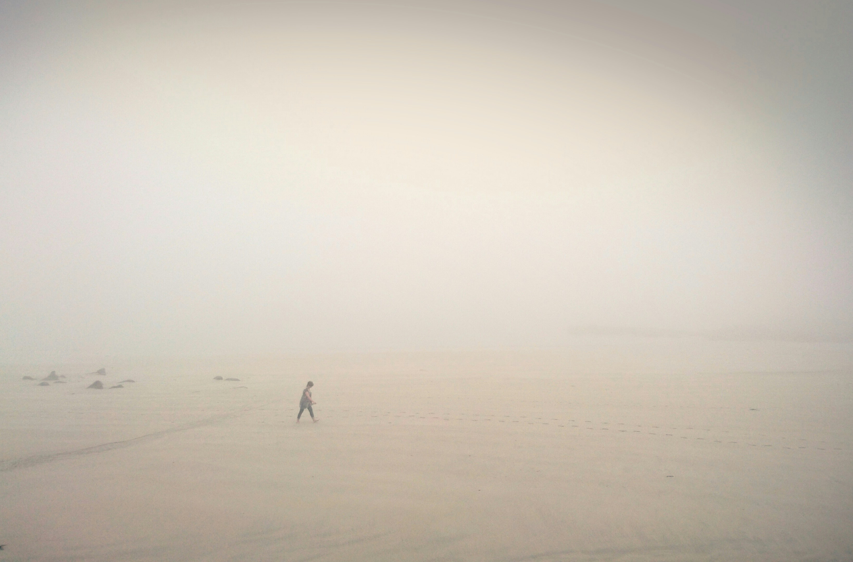 Free Unsplash photo from David Downing