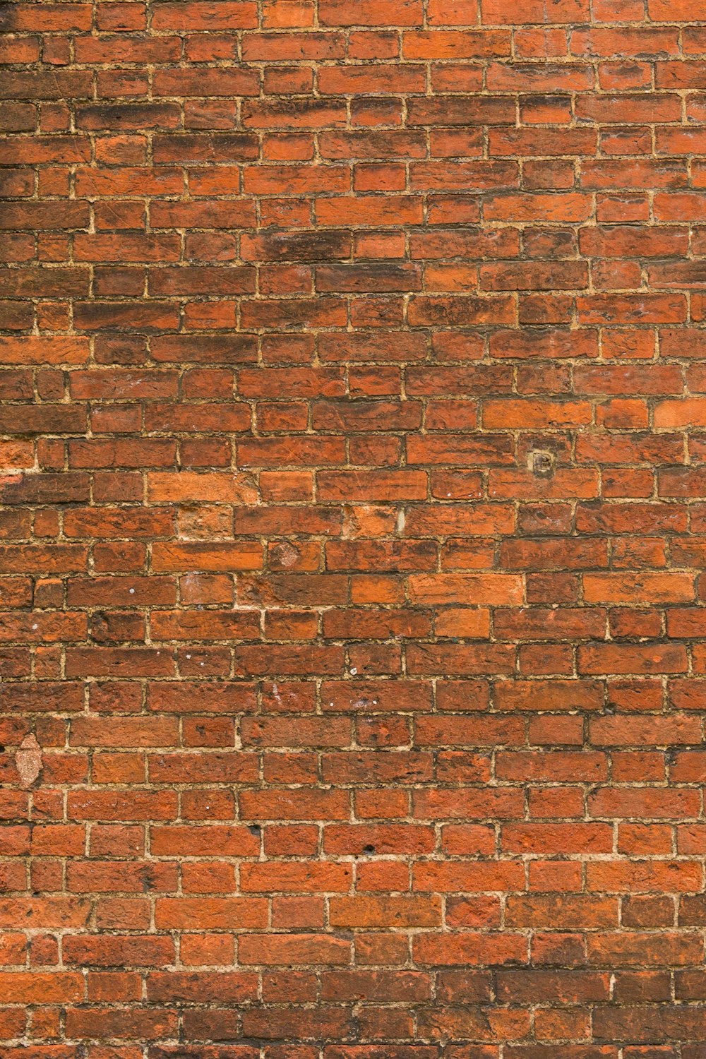 mur de briques brunes